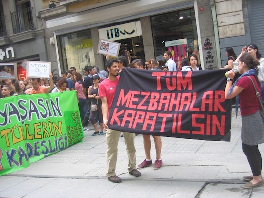 Marche pour la fermeture des abattoirs à Istanbul