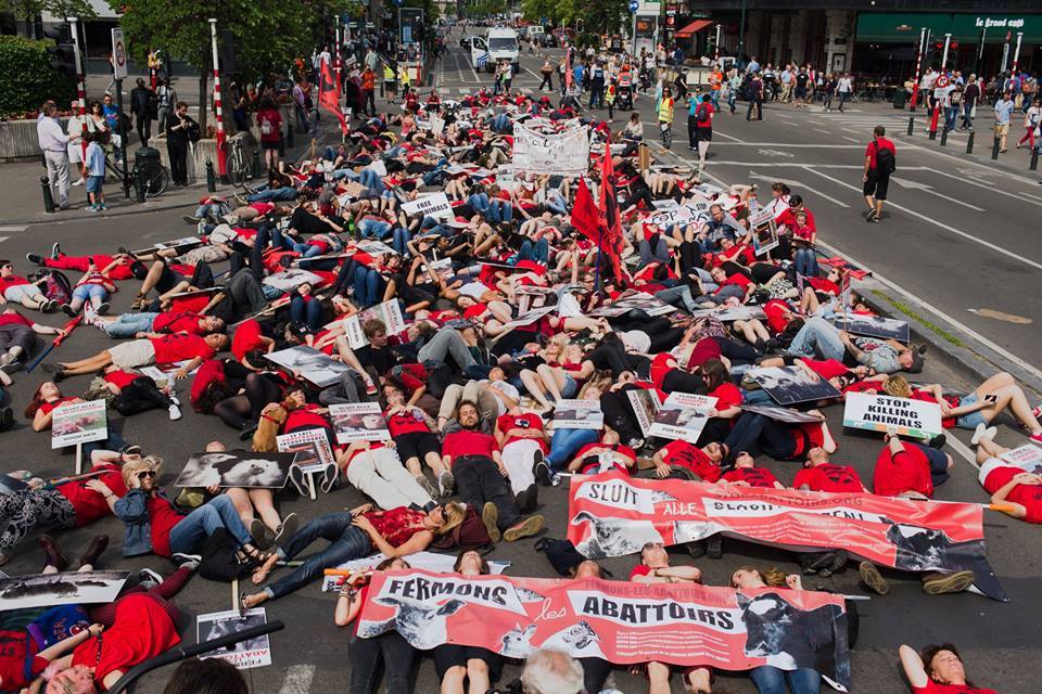Photo de la Marche pour la fermeture des abattoirs 2015 à Bruxelles