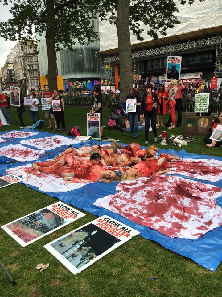 Photo de la Marche pour la fermeture des abattoirs 2016 à Londres