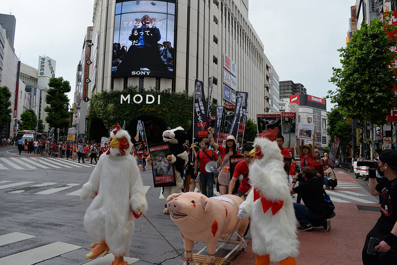 Photo de la Marche pour la fermeture des abattoirs 2016 à Tokyo