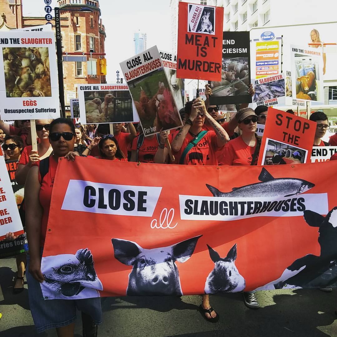 Photo de la Marche pour la fermeture des abattoirs 2016 à Toronto