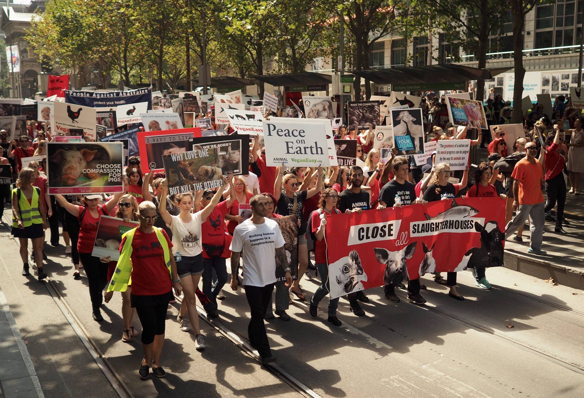 Melbourne March To Close All Slaughterhouses 2017 picture