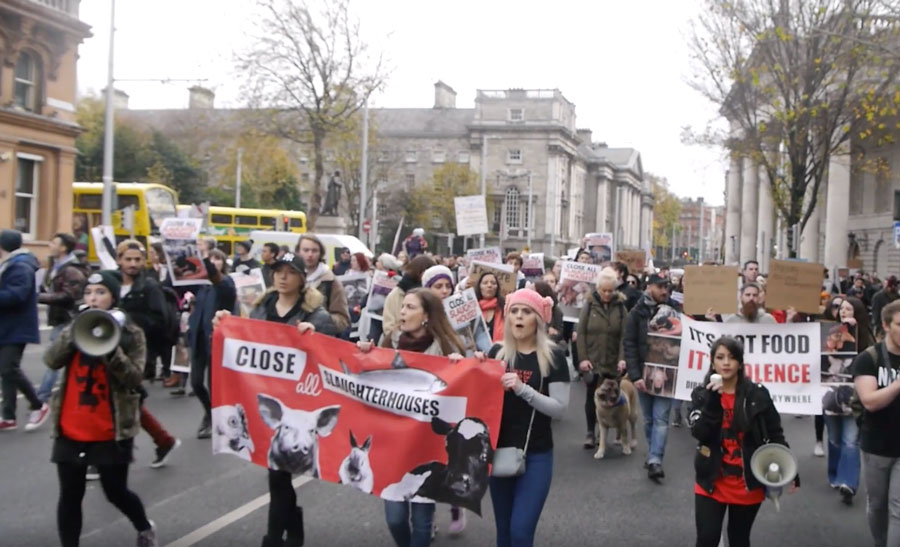 Photo de la Marche pour la fermeture des abattoirs 2017 à Dublin