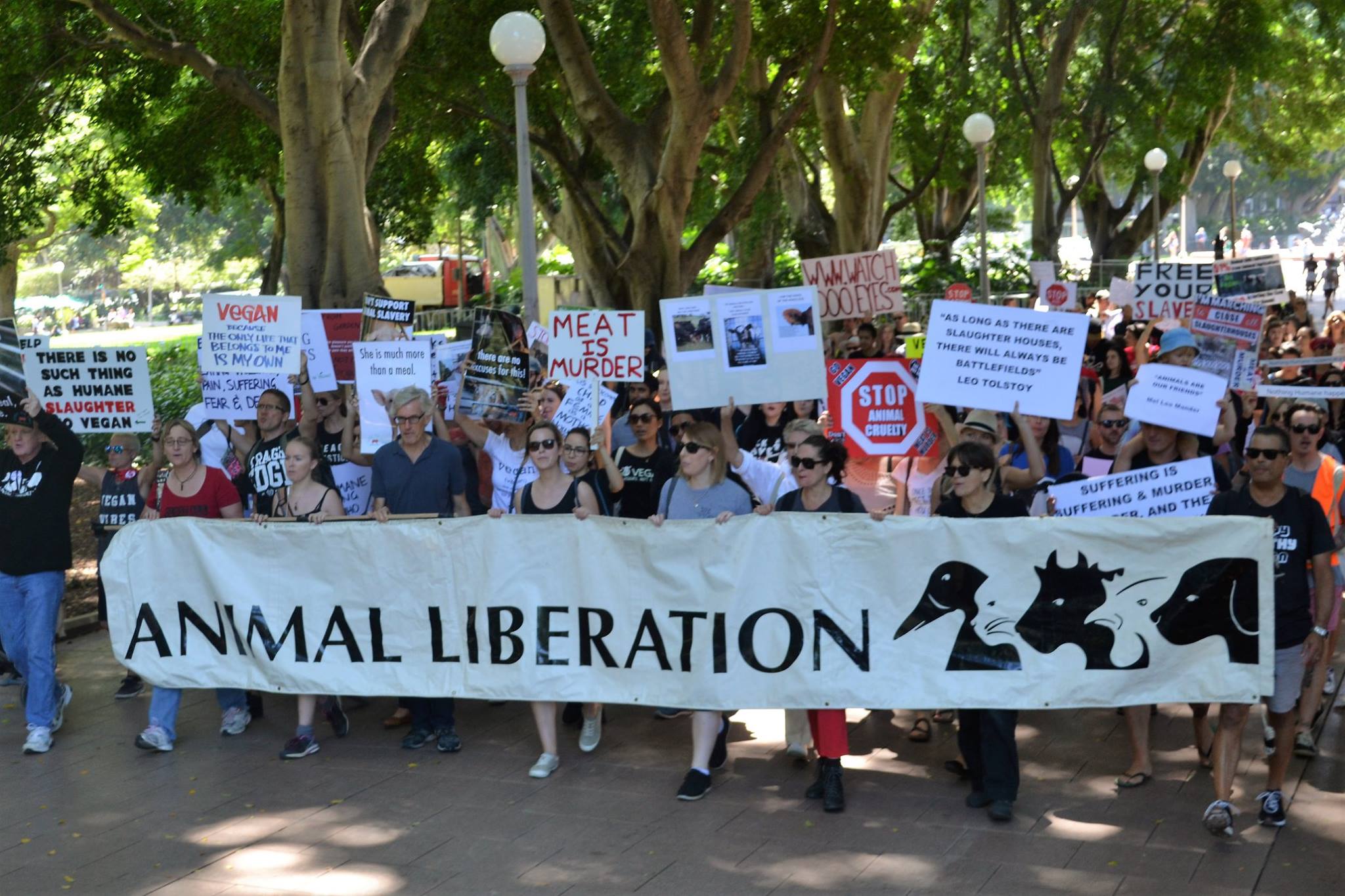 Sydney March To Close All Slaughterhouses 2017 picture