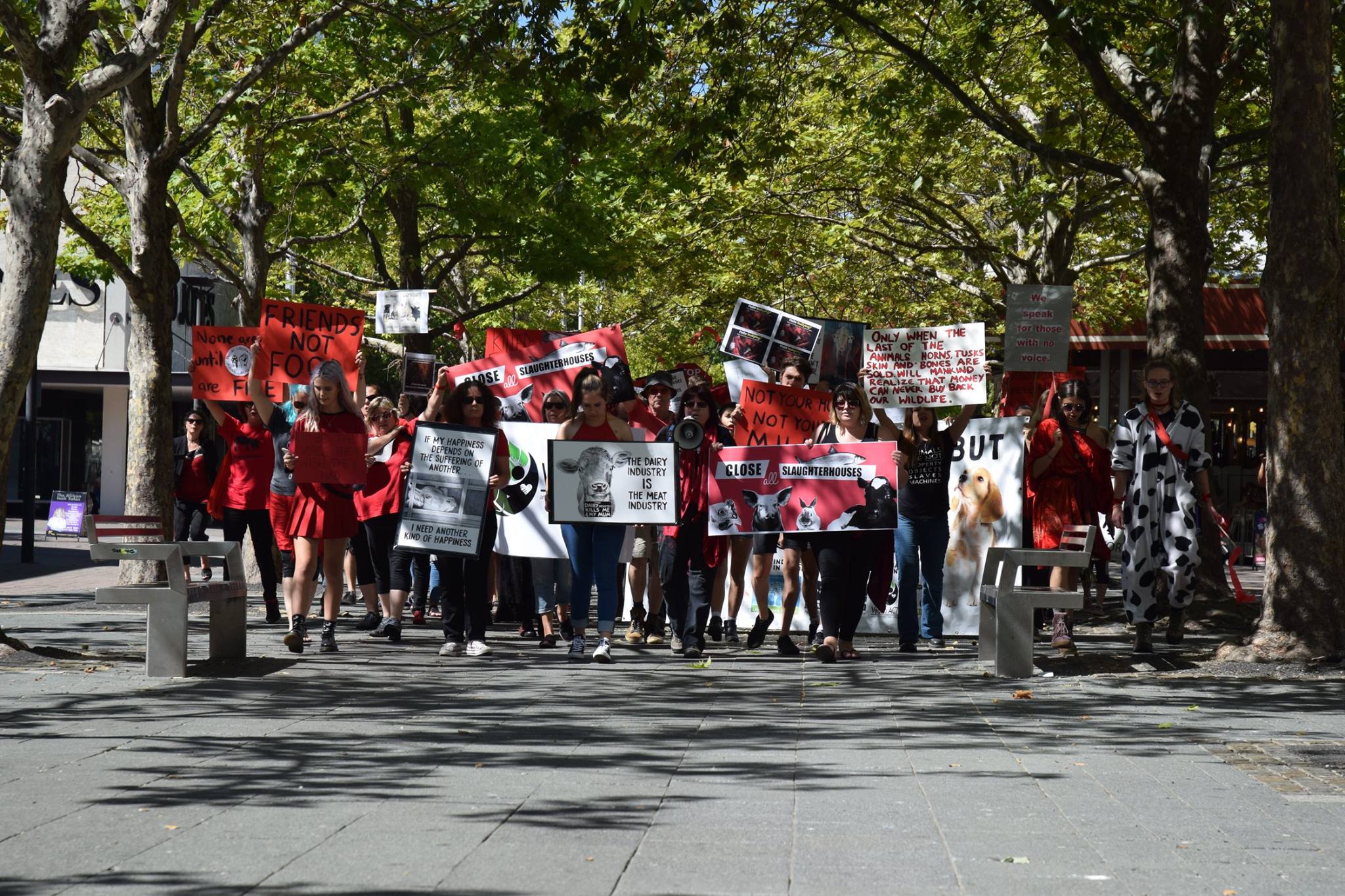 MARCH TO CLOSE DOWN ALL SLAUGHTERHOUSES in Canberra | Marche pour la ...