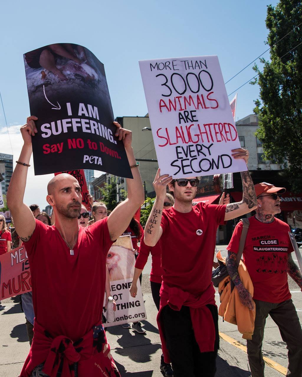 March to close down all slaughterhouses in St. Louis | March to close down  all slaughterhouses
