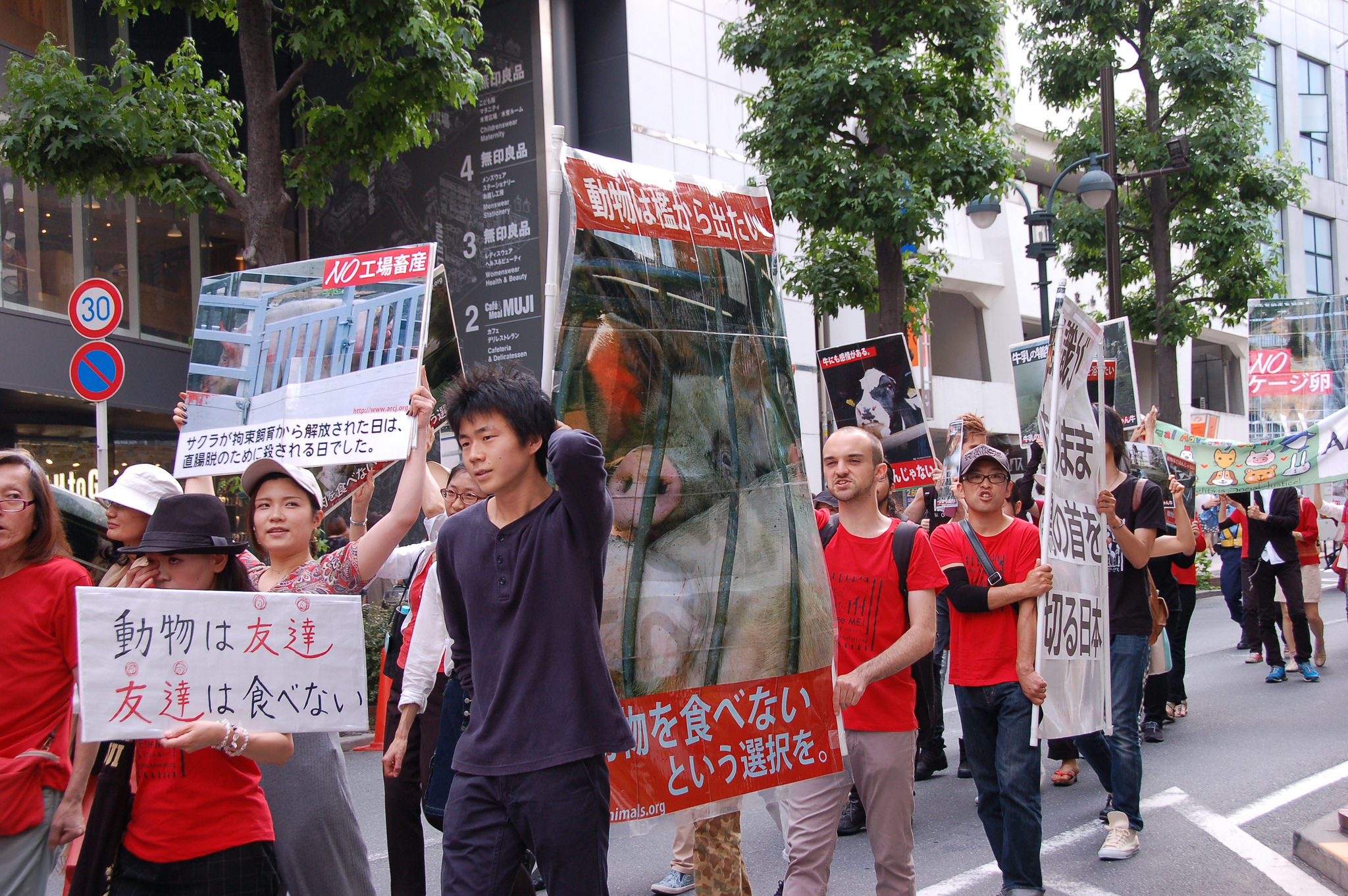 Photo de la Marche pour la fermeture des abattoirs 2016 à Tokyo